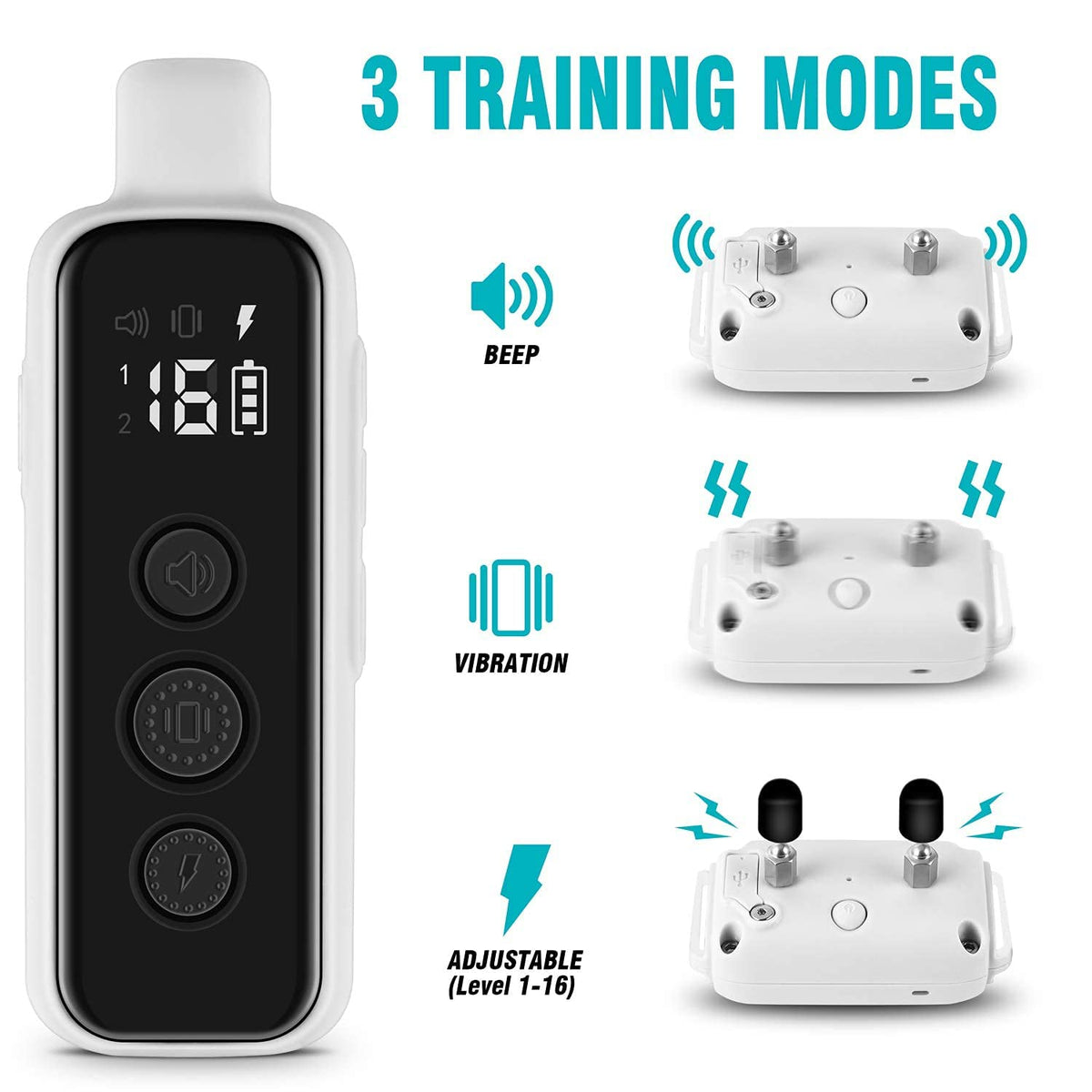 Waterproof Rechargeable Electric Dog Training Collar with Remote C895
