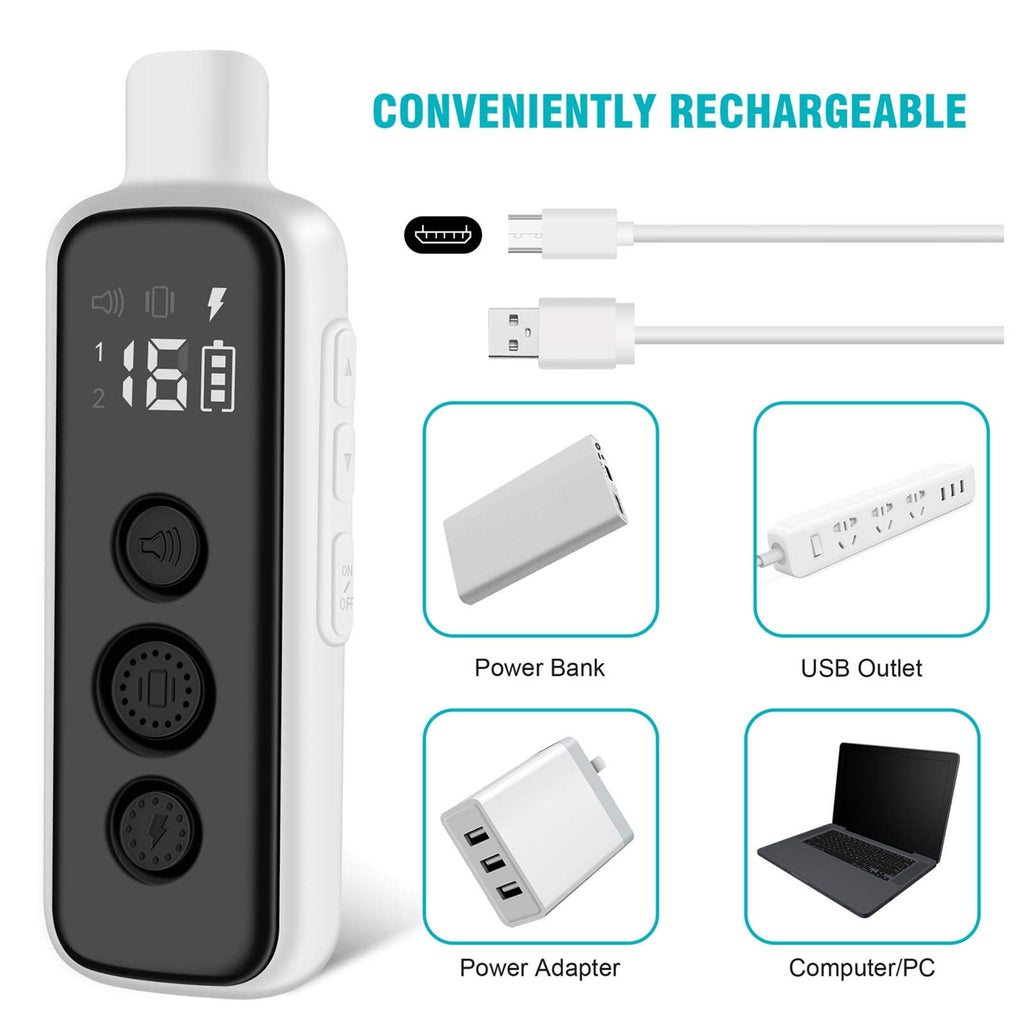 Waterproof Rechargeable Electric Dog Training Collar with Remote C895