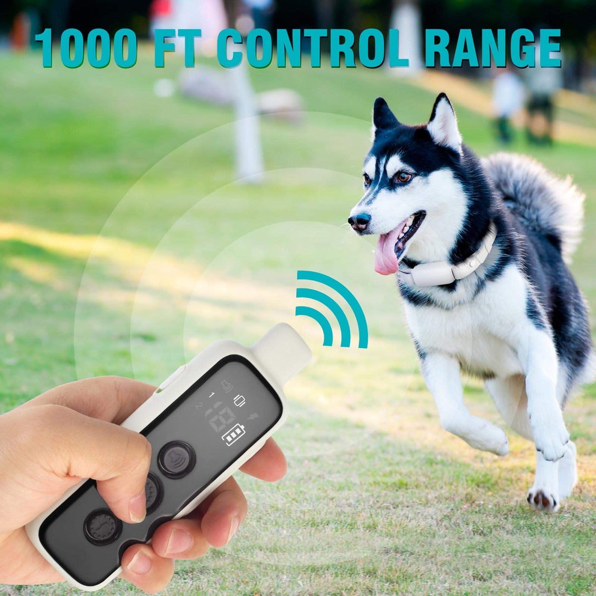 Waterproof Rechargeable Electric Dog Training Collar with Remote C895
