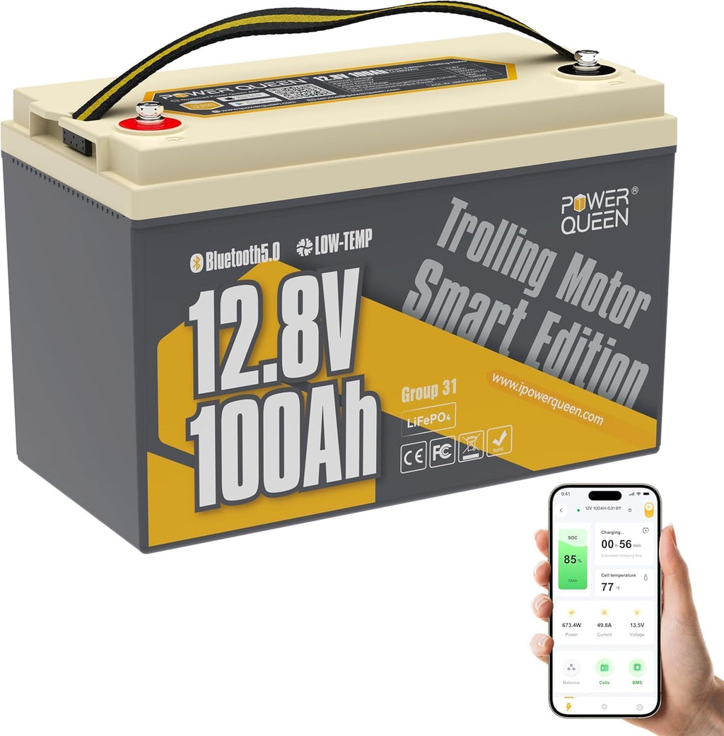 12V 100Ah LiFePO4 Battery I694170