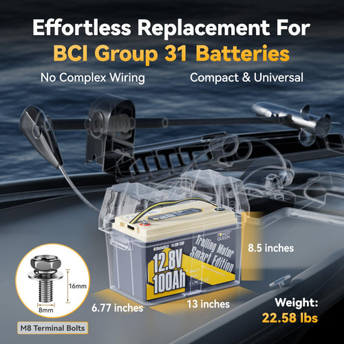 12V 100Ah LiFePO4 Battery I694170