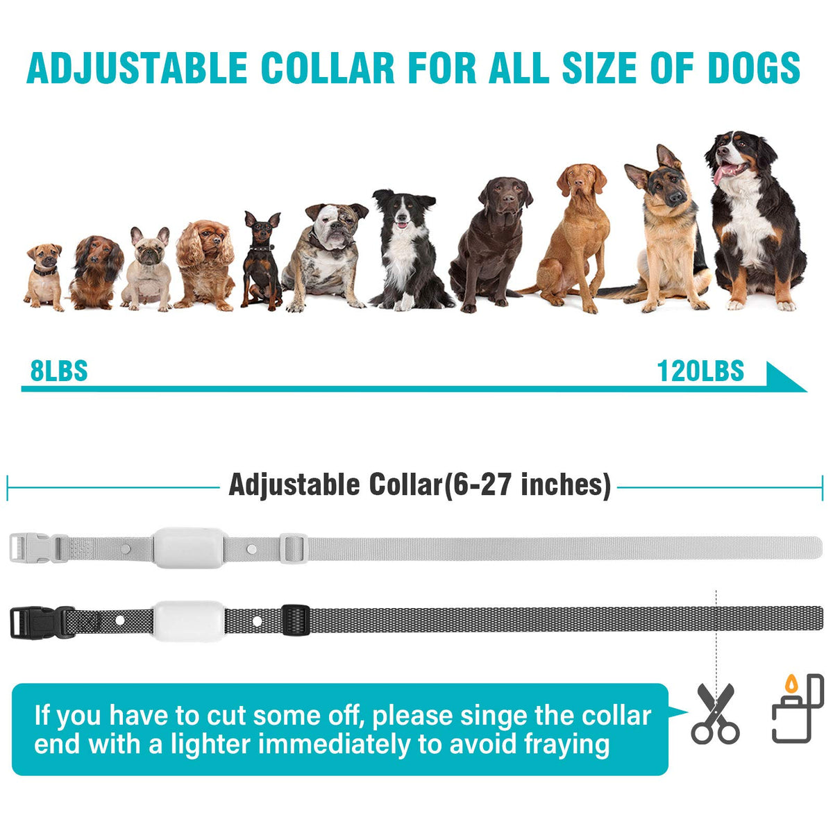 Waterproof Rechargeable Electric Dog Training Collar with Remote C895
