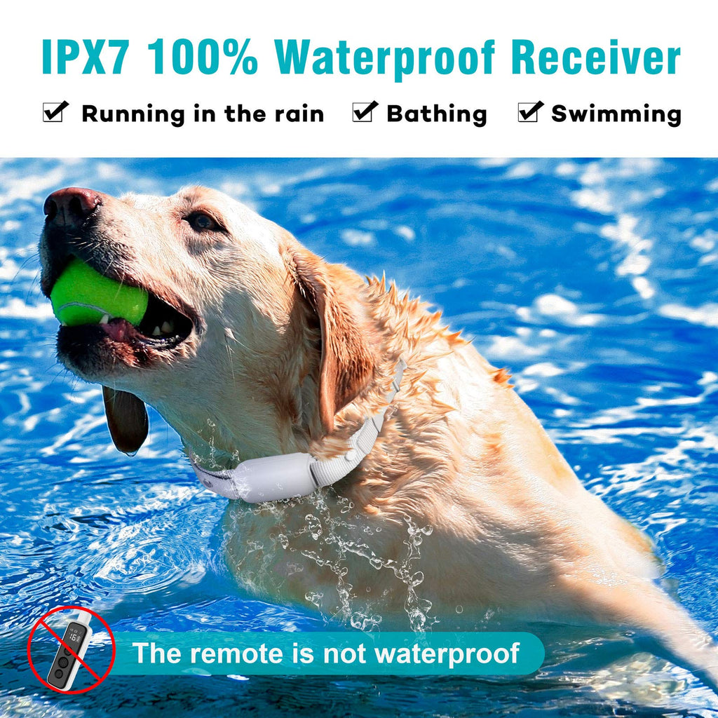 Waterproof Rechargeable Electric Dog Training Collar with Remote C895