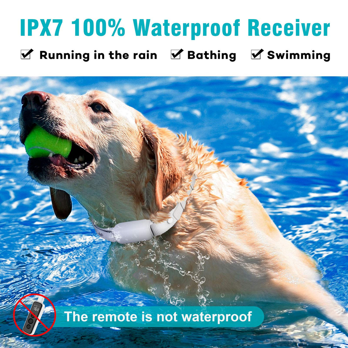 Waterproof Rechargeable Electric Dog Training Collar with Remote C895
